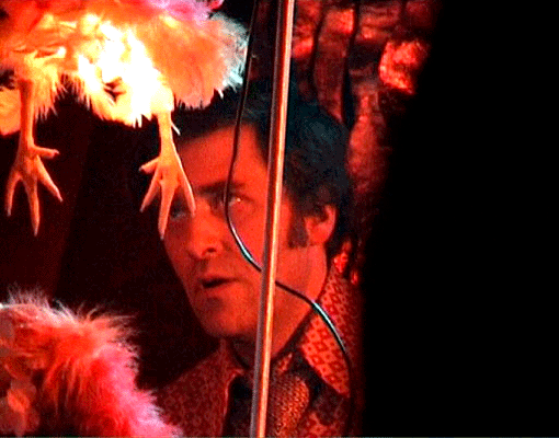 fuzzy love - gordon monahan